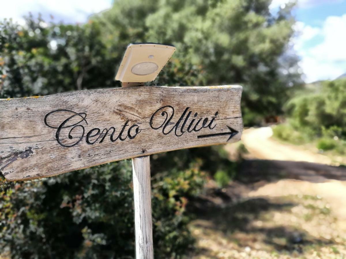 Cento Ulivi B&B Golfo Aranci Extérieur photo